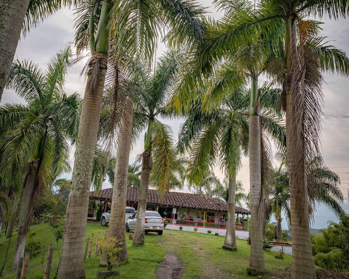 Rancho Chihuahua Hotel Filandia Exterior photo